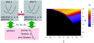 Graphical abstract: Quantum entanglement control of electron–phonon systems by light irradiation