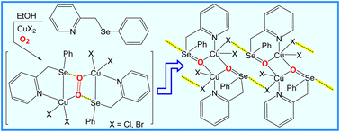 Graphical abstract: Chalcogen bonding in copper(ii)-mediated synthesis