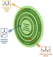 Graphical abstract: Sustainable valorisation of renewables through dialkyl carbonates and isopropenyl esters