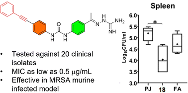 Graphical abstract: Expanding the structure–activity relationships of alkynyl diphenylurea scaffold as promising antibacterial agents