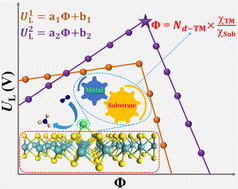 Graphical abstract: A simple descriptor for the nitrogen reduction reaction over single atom catalysts