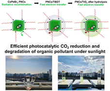 Graphical abstract: Investigating the interfacial properties of halide perovskite/TiOx heterostructures for versatile photocatalytic reactions under sunlight