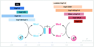 Graphical abstract: Recent synthetic methods involving carbon radicals generated by electrochemical catalysis