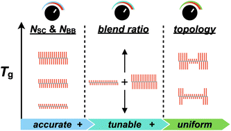 Graphical abstract: Versatile strategies to tailor the glass transition temperatures of bottlebrush polymers