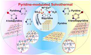 Graphical abstract: Surface-halogen-introduced 2D NiCo bimetallic MOFs via a modulation method for elevated electrochemical glucose sensing