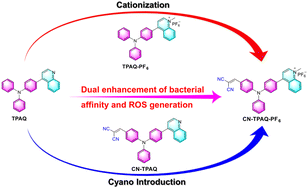 Graphical abstract: Cationic AIE-active photosensitizers for highly efficient photodynamic eradication of drug-resistant bacteria