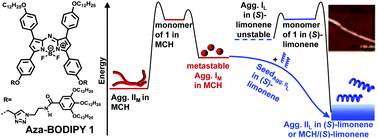 Graphical abstract: Asymmetric living supramolecular polymerization of an achiral aza-BODIPY dye by solvent-mediated chirality induction and memory