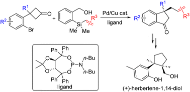 Graphical abstract: Palladium-catalyzed enantioselective domino ring-opening/Hiyama coupling of cyclobutanones: development and application to the synthesis of (+)-herbertene-1,14-diol