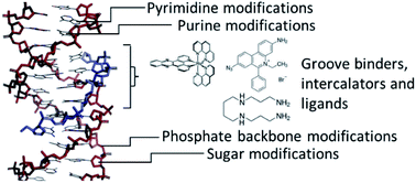 Graphical abstract: Three's a crowd – stabilisation, structure, and applications of DNA triplexes