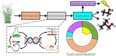 Graphical abstract: High yield co-production of isobutanol and ethanol from switchgrass: experiments, and process synthesis and analysis