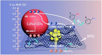 Graphical abstract: Stabilizing atomically precise metal nanoclusters as simultaneous charge relay mediators and photosensitizers