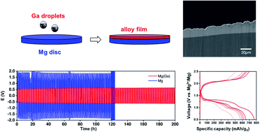 Graphical abstract: Alloying electrode coatings towards better magnesium batteries