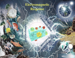 Graphical abstract: Marine polysaccharide-based electromagnetic absorbing/shielding materials: design principles, structure, and properties