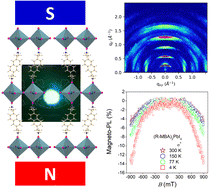 Graphical abstract: Impact of crystal growth diversity on magneto-photoluminescence and circular dichroism in chiral lead halide perovskites