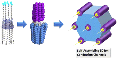 Graphical abstract: Functional group polarity-modulated formation of liquid crystals of amphiphilic cyclodextrins