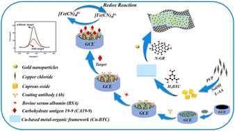 Graphical abstract: Hairpin DNA-based electrochemical amplification strategy for miRNA sensing by using single gold nanoelectrodes