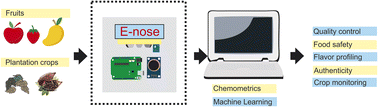 Graphical abstract: Low-cost electronic-nose (LC-e-nose) systems for the evaluation of plantation and fruit crops: recent advances and future trends