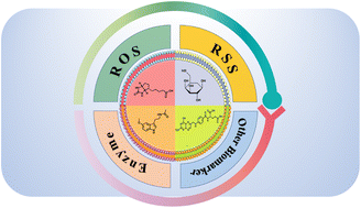 Graphical abstract: Recent advances in small-molecule fluorescent probes with the function of targeting cancer receptors