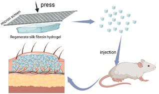 Graphical abstract: Facilely printed silk fibroin hydrogel microparticles as injectable long-lasting fillers