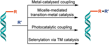 Graphical abstract: DNA-encoded libraries via late-stage functionalization strategies: a review