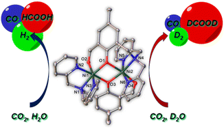 Graphical abstract: Kinetic isotope effect offers selectivity in CO2 reduction