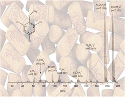 Graphical abstract: Electron ionization induced fragmentation pathways of trichloroanisole