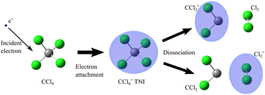 Graphical abstract: Dissociative electron attachment to carbon tetrachloride probed by velocity map imaging