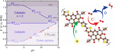 Graphical abstract: Origins of hydrogen peroxide selectivity during oxygen reduction on organic mixed ionic–electronic conducting polymers