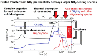 Graphical abstract: Preferential destruction of NH2-bearing complex interstellar molecules via gas-phase proton-transfer reactions