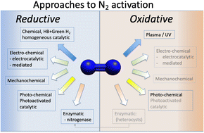 Graphical abstract: Concluding remarks: Sustainable nitrogen activation – are we there yet?