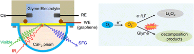 Graphical abstract: Unraveling the solvent stability on the cathode surface of Li–O2 batteries by using in situ vibrational spectroscopies