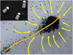 Graphical abstract: Collective motion of Nafion-based micromotors in water