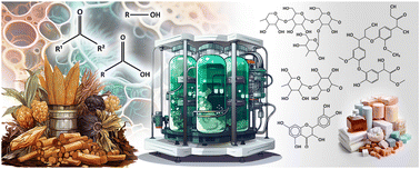 Graphical abstract: Organosolv biorefinery: resource-based process optimisation, pilot technology scale-up and economics