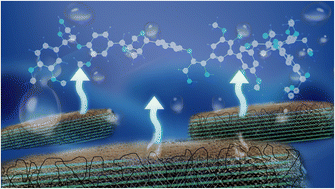 Graphical abstract: The dawn of aqueous deep eutectic solvents for lignin extraction