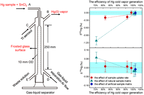 Graphical abstract: The efficiency of Hg cold vapor generation and its influence on Hg isotope analysis by MC-ICP-MS