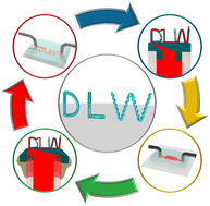 Graphical abstract: Direct laser writing-enabled 3D printing strategies for microfluidic applications