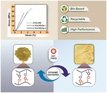 Graphical abstract: Castor oil-derived polyurethane networks multiple recyclability based on reversible dynamic acetal bond