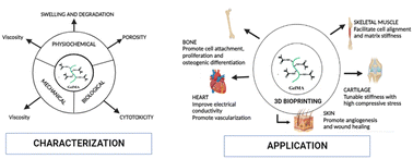 Graphical abstract: An insight into synthesis, properties and applications of gelatin methacryloyl hydrogel for 3D bioprinting