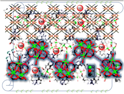 Graphical abstract: A hollow urchin-like metal–organic framework with Ni–O-cluster SBUs as a promising electrode for an alkaline battery–supercapacitor device