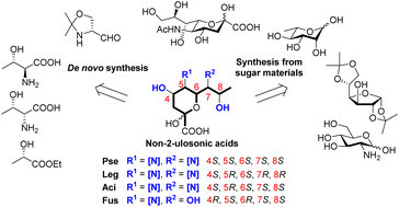 Graphical abstract: Recent progress on the chemical synthesis of bacterial non-2-ulosonic acids