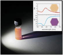 Graphical abstract: A complete explanation of the plasmonic colours of gold nanoparticles and of the bichromatic effect