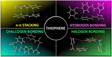 Graphical abstract: Harnessing non-covalent interactions in modified thiophenes: structural design and applications in materials and biological sciences