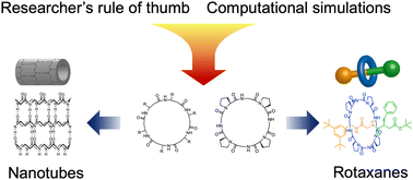 Graphical abstract: The structural and functional impacts of rationally designed cyclic peptides on self-assembly-mediated functionality