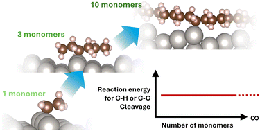 Graphical abstract: Theoretical determination of a model molecule for the catalytic upcycling of polyethylene and polypropylene