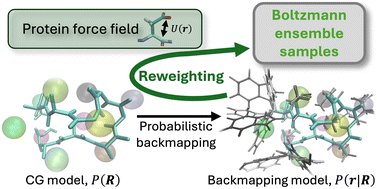 Graphical abstract: Reweighting configurations generated by transferable, machine learned models for protein sidechain backmapping
