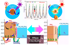 Graphical abstract: Control of positive and negative photo- and thermal-responses in a single PbI2@CH3NH3PbI3 micro/nanowire-based device for real-time sensing, nonvolatile memory, and logic operation