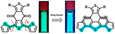 Graphical abstract: Optimizing stability through conformational locking and ring fusion modulation in organic semiconductors
