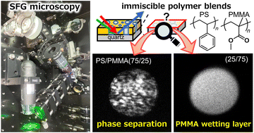 Graphical abstract: Effect of interfacial local conformation of polymer chains on adhesion strength