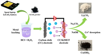 Graphical abstract: Cobalt and lithium recovery from spent LiCoO2 using a free-standing potassium zinc hexacyanoferrate/carbon cloth composite electrode