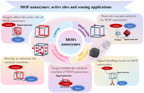 Graphical abstract: MOF nanozymes: active sites and sensing applications